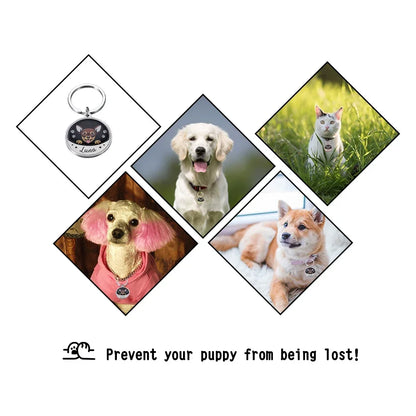 Personalized Pet ID Tags Custom Name Free Engraving Dog ID Collars For Puppy Dog Tag Collar Nameplate Anti-lost Accessories