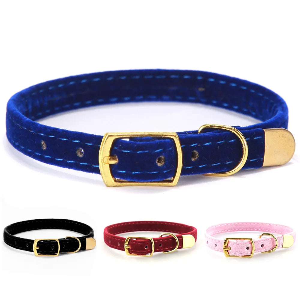 Cat Collar With Bell Safety Cat Collars Puppy Dog Collar For Cats Small Dogs Kittens Solid Pet Collarhu Products cat necklace